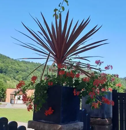 Deybach 3* Munster (Haut-Rhin)