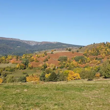 酒店 迪巴赫酒店 蒙斯特