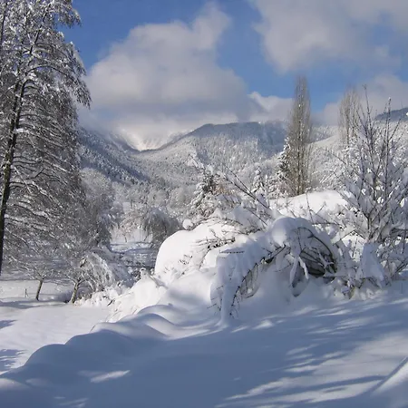 迪巴赫酒店 酒店 蒙斯特