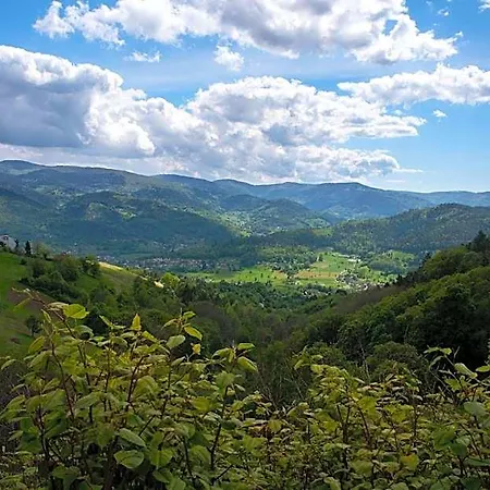 Deybach Munster (Haut-Rhin)