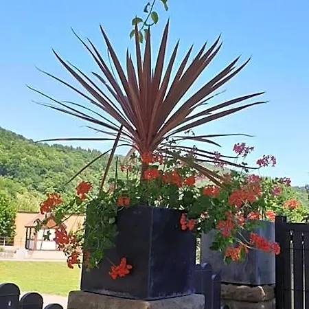 Deybach فندق مونستر