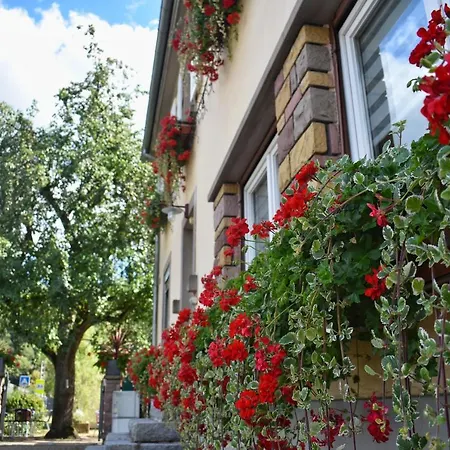 Deybach Hotel 3*