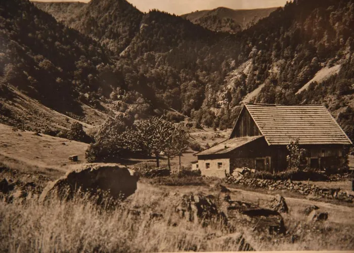 Deybach 3* Munster (Haut-Rhin)